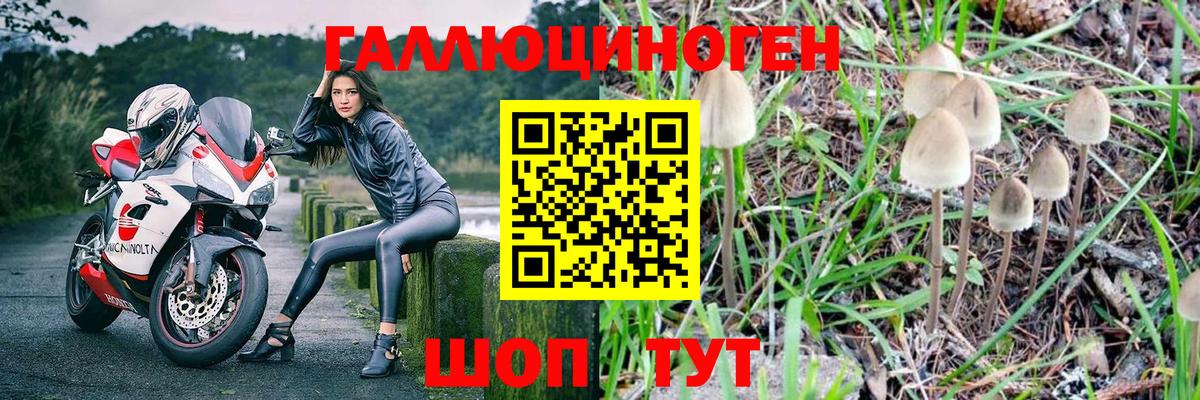 Псилоцибиновые грибы мухоморы Киселёвск