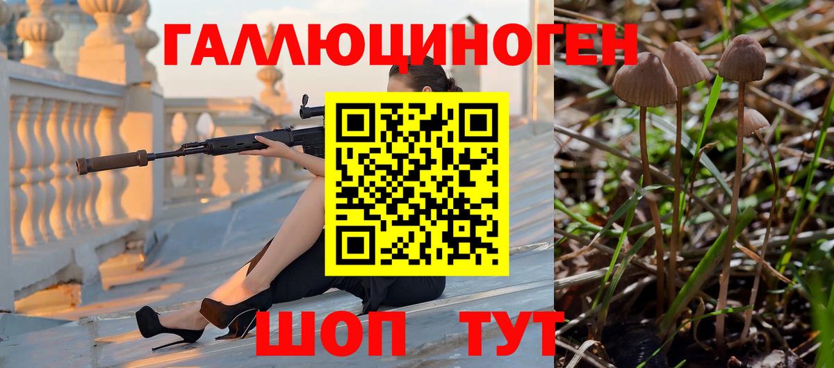 Киселёвск  Галлюциногенные грибы прущие грибы  Вход с VPN 